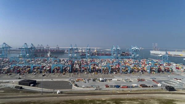 Container terminal in the Rotterdam harbor — Stock Photo, Image