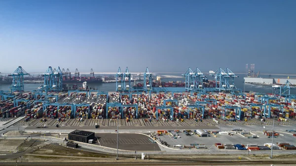 Terminal de contenedores en el puerto de Rotterdam — Foto de Stock