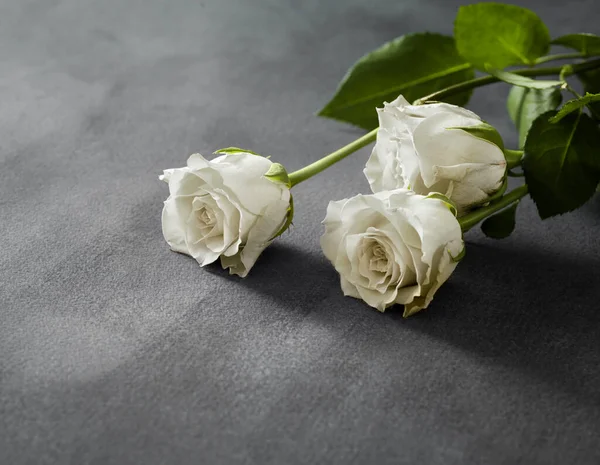 Prachtige Witte Rozen Een Grijze Stenen Achtergrond Begrafenissymbool Met Kopieerruimte — Stockfoto