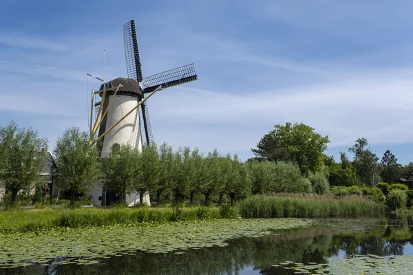 Windmill farm in summer in Netherlands. This wonderful windmill is located near Rotterdam in Holland