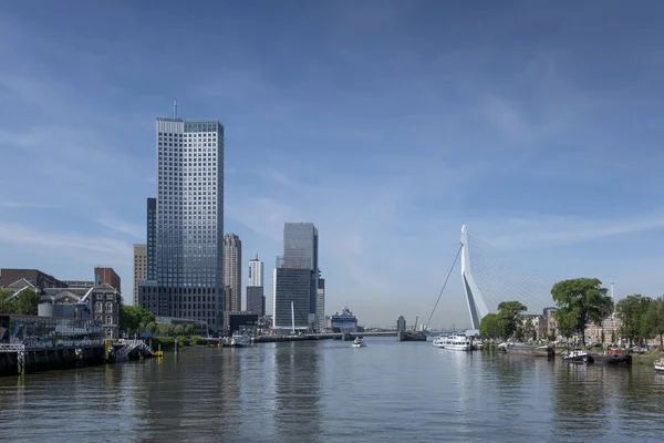 Paisaje Urbano Rotterdam Con Hef Izquierda Puente Erasmus Derecha — Foto de Stock