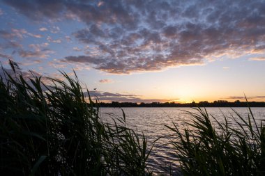 Güzel gün batımının manzarası ya da baharda göl ya da göl üzerinde gün doğumu ya da bulutlu arka plan ve sazlıklar ile yaz akşamının başı.