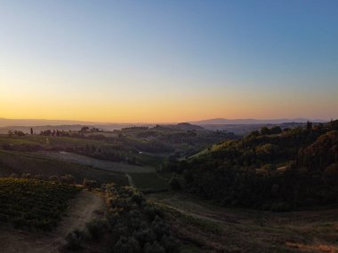 Toskana manzarası İtalya 'da. Bir üzüm bağının üzerinde gün batımı