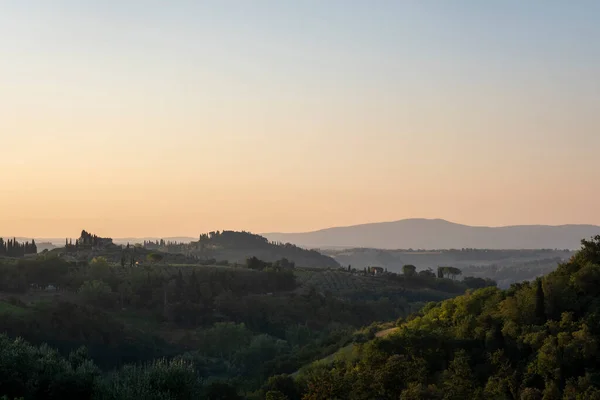 Toskánská Krajina Itálii Západ Slunce Nad Vinicí — Stock fotografie
