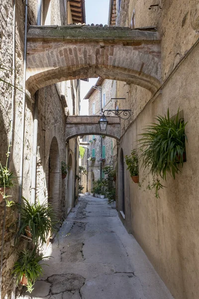 Дуже Стара Вулиця Старому Місті Італія Типова Вулиця Тоскани Італія — стокове фото
