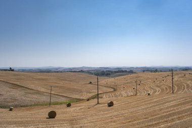 Yazın gün batımında Toskana 'da manzara