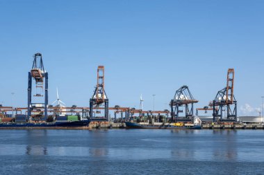 Hollanda, Rotterdam. Kömür terminali, Rotterdam limanındaki Maasvlakte 'de kömür taşımacılığı için büyük endüstriyel vinçlere sahiptir.