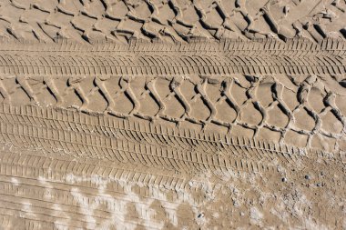 Kumda bir lastik izi.