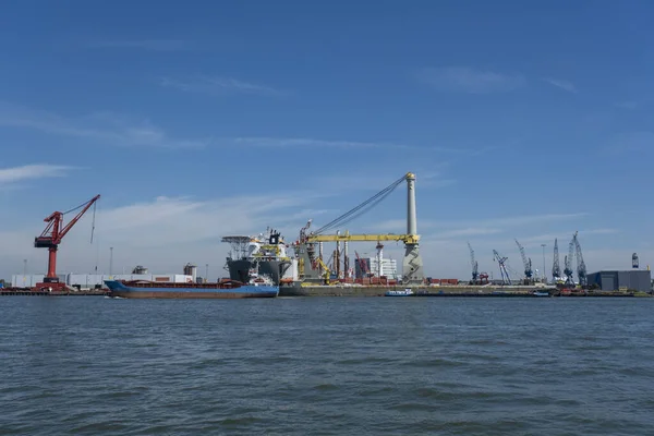 Actividad Puerto Rotterdam Países Bajos — Foto de Stock