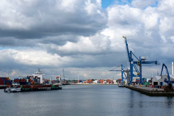 Rotterdam Navios Porta Contentores Atracados Num Terminal Contentores Porto Roterdão — Fotografia de Stock