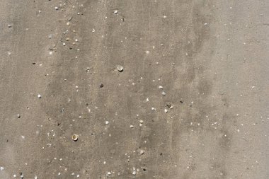 Kum dokusu. Arka plan için kumsal. Üst görünüm.