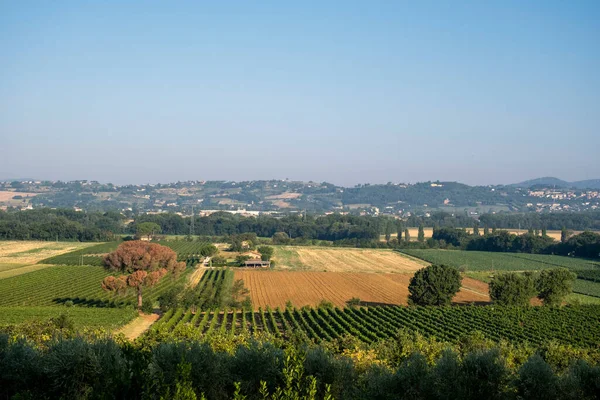 Hermoso Paisaje Verano Toscana Italia — Foto de Stock