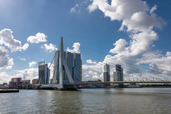 Rotterdam Niderlandy Widok Most Erasmus Port Rotterdamie Erasmus Bridge Jest — Zdjęcie stockowe