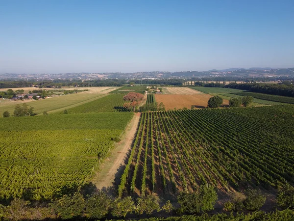 Bela Paisagem Verão Toscana Itália — Fotografia de Stock