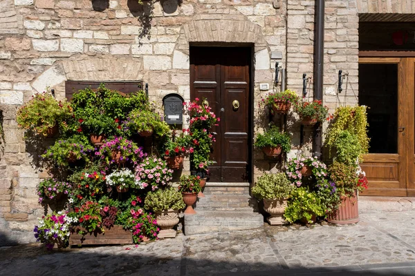 Fleurs Colorées Devant Une Maison Dans Ville Italienne Colline Assise Images De Stock Libres De Droits