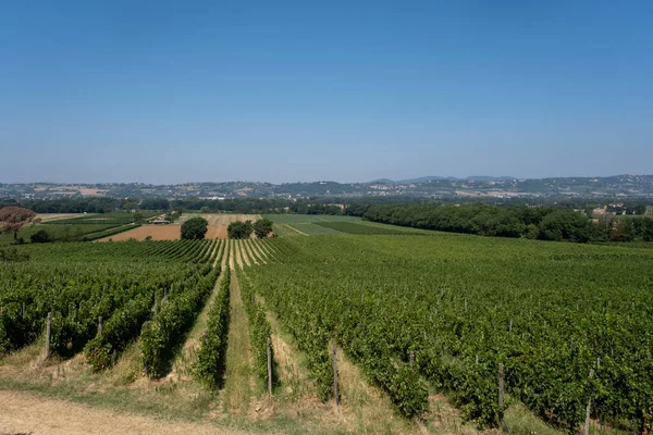 Vista Panorámica Del Paisaje Pintoresco Toscana Con Viñedo Región Del — Foto de Stock