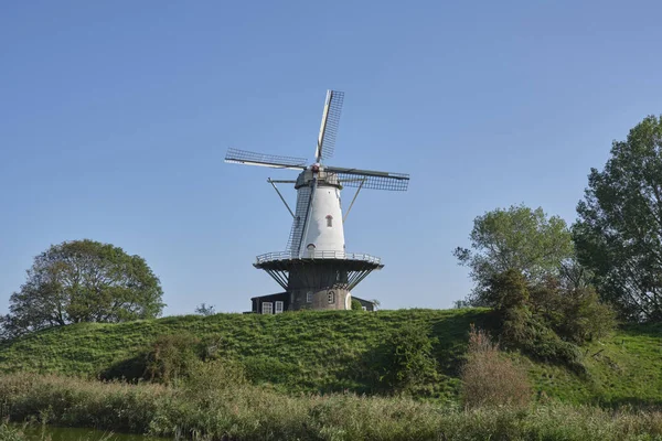 Ветряная Мельница Koe Cow Veere Национальный Памятник Нидерланды — стоковое фото