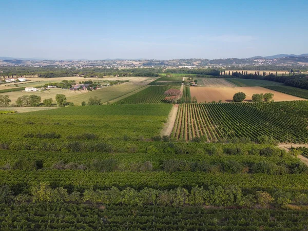 Vista Panorámica Del Paisaje Pintoresco Toscana Con Viñedo Región Del — Foto de Stock