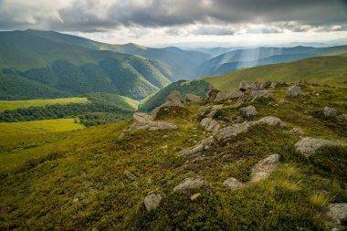 Karpatlar 'ın üzerine yağmur bulutları yağıyor. Ukrayna Karpatları 'nın Borzhava Tepesi Panoraması