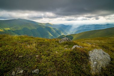 Karpatlar 'ın üzerine yağmur bulutları yağıyor. Ukrayna Karpatları 'nın Borzhava Tepesi Panoraması