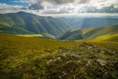 Karpatlar 'ın üzerine yağmur bulutları yağıyor. Ukrayna Karpatları 'nın Borzhava Tepesi Panoraması