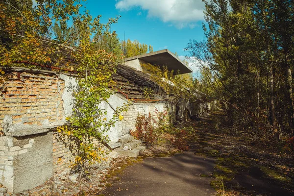 Chornobyl dışlama bölgesi eski futbol stadyumu. Radyoaktif bölge Pripyat filialı üzrə - terk edilmiş hayalet kasaba. Felaket Chernobyl tarihçesi