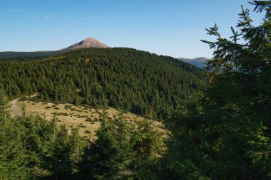 Peyzaj Mount Hoverla en yüksek Ukrayna Karpat Dağları, Chornohora dağıdır