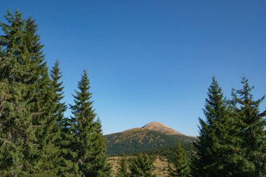 Peyzaj Mount Hoverla en yüksek Ukrayna Karpat Dağları, Chornohora dağıdır