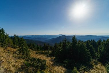 Ukraynalı Karpat Dağları, Chornohora peyzaj