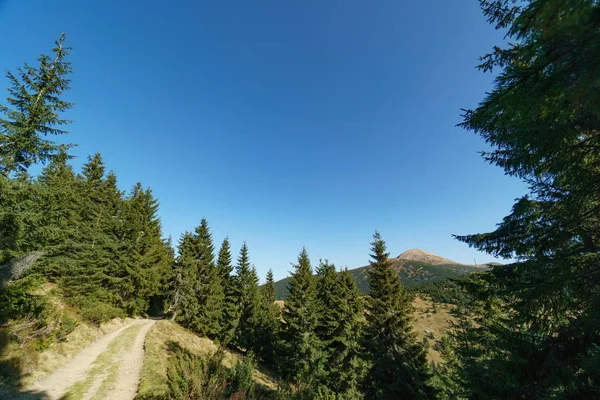 Peyzaj Mount Hoverla en yüksek Ukrayna Karpat Dağları, Chornohora dağıdır