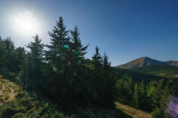Mount Petros - Chornohora Ukraynalı Karpat Dağları'nın peyzaj