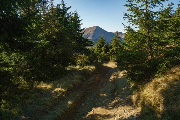 Mount Petros - Chornohora Ukraynalı Karpat Dağları'nın peyzaj