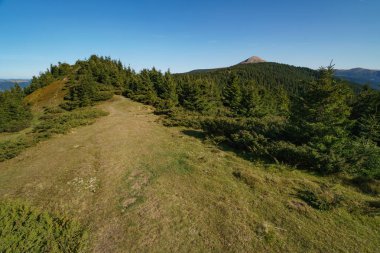 Peyzaj Mount Hoverla en yüksek Ukrayna Karpat Dağları, Chornohora dağıdır