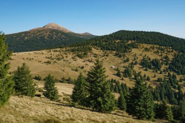 Peyzaj Mount Hoverla en yüksek Ukrayna Karpat Dağları, Chornohora dağıdır