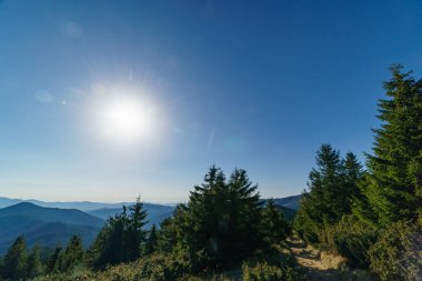 Ukraynalı Karpat Dağları, Chornohora peyzaj