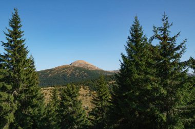 Peyzaj Mount Hoverla en yüksek Ukrayna Karpat Dağları, Chornohora dağıdır