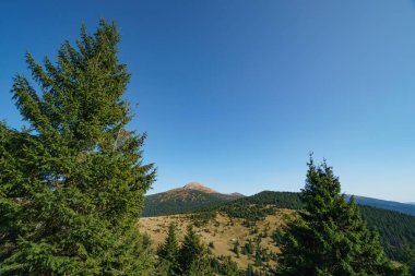 Peyzaj Mount Hoverla en yüksek Ukrayna Karpat Dağları, Chornohora dağıdır