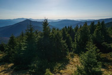 Ukraynalı Karpat Dağları, Chornohora peyzaj