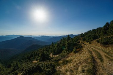 Ukraynalı Karpat Dağları 'nın Hoverla Dağı yolu, Chornohora