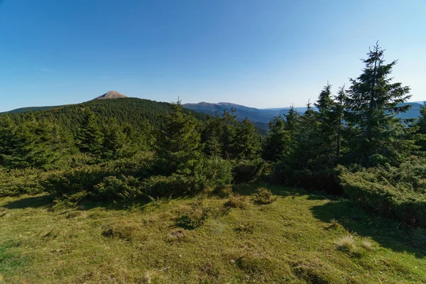 Peyzaj Mount Hoverla en yüksek Ukrayna Karpat Dağları, Chornohora dağıdır