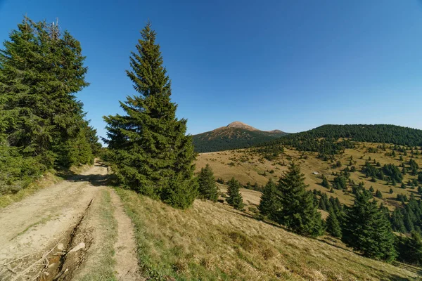 Ukraynalı Karpat Dağları 'nın Hoverla Dağı yolu, Chornohora