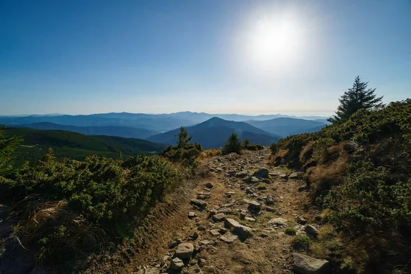 Ukraynalı Karpat Dağları 'nın Hoverla Dağı yolu, Chornohora