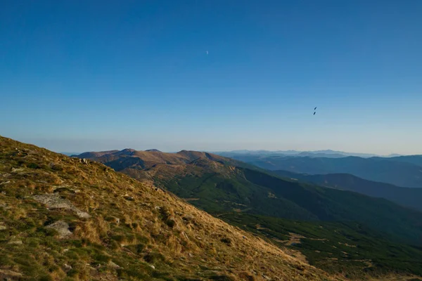 Ukraynalı Karpat Dağları, Chornohora peyzaj