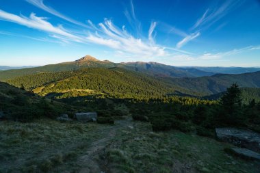 Mount Hoverla güzel güneşli manzara Ukrayna Karpat Dağları, Chornohora, Goverla Petros Dağı'nın en yüksek dağıdır