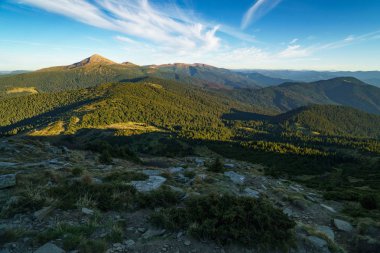 Mount Hoverla güzel güneşli manzara Ukrayna Karpat Dağları, Chornohora, Goverla Petros Dağı'nın en yüksek dağıdır
