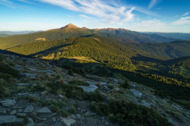 Mount Hoverla güzel güneşli manzara Ukrayna Karpat Dağları, Chornohora, Goverla Petros Dağı'nın en yüksek dağıdır