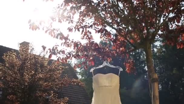 Close-up shot of perfect wedding dress hanging on autumn tree. Sun light. Bridal morning — Stock Video