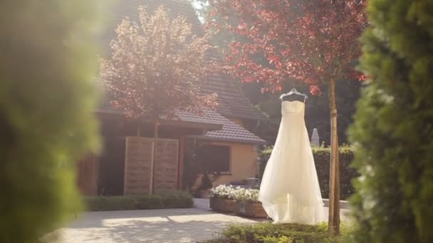 El vestido de novia perfecto colgando del árbol de otoño. Mañana nupcial — Vídeo de stock