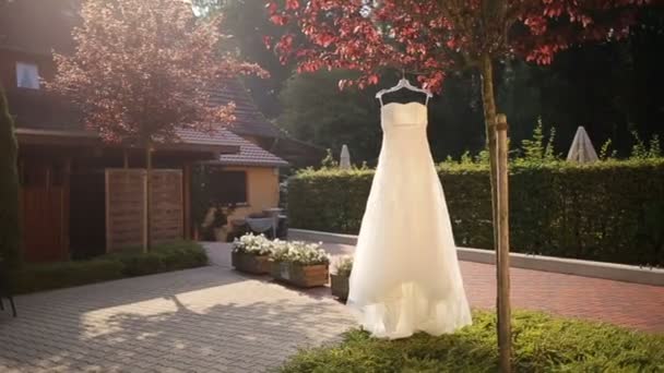 Идеальное свадебное платье висит на осеннем дереве. Новобрачное утро — стоковое видео