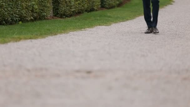 Mannen i kostym som går genom parken, Utomhus, groom bröllop kostym — Stockvideo